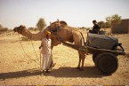 Camel Ride in Rajasthan Tour