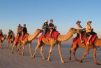 Camel Ride in Rajasthan Tour