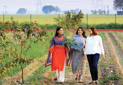 Amritsar Village Tour